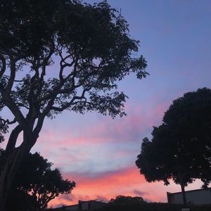 Meet your Posher, Jacey